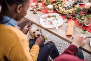 alexander animal hospital avoid feeding your dog table scraps