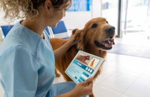 alexander animal hospital pet wellness plans